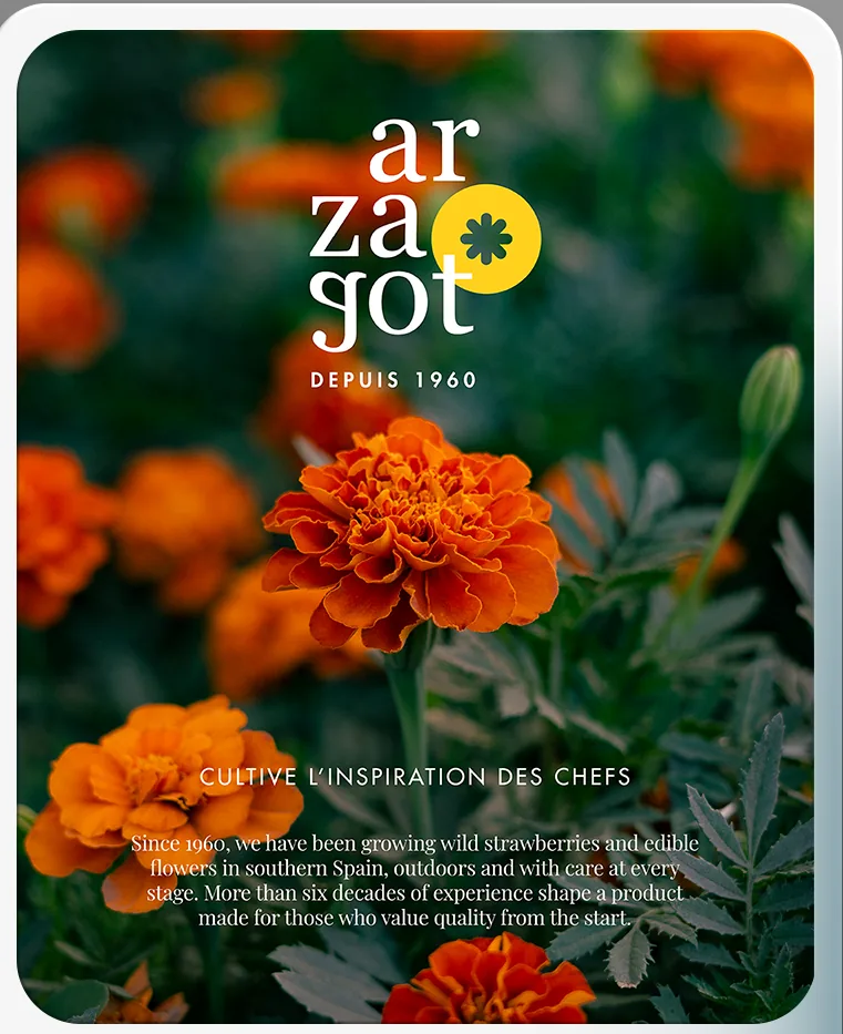 Publicación de Instagram con caléndulas y el logotipo de Arzagot.