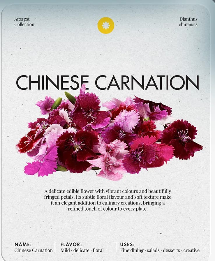 Ficha de producto del clavel chino con su sabor y sus usos.