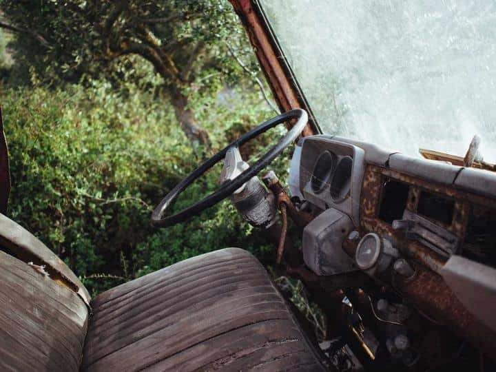 Salpicadero de una camioneta antigua cubierta por la vegetación.